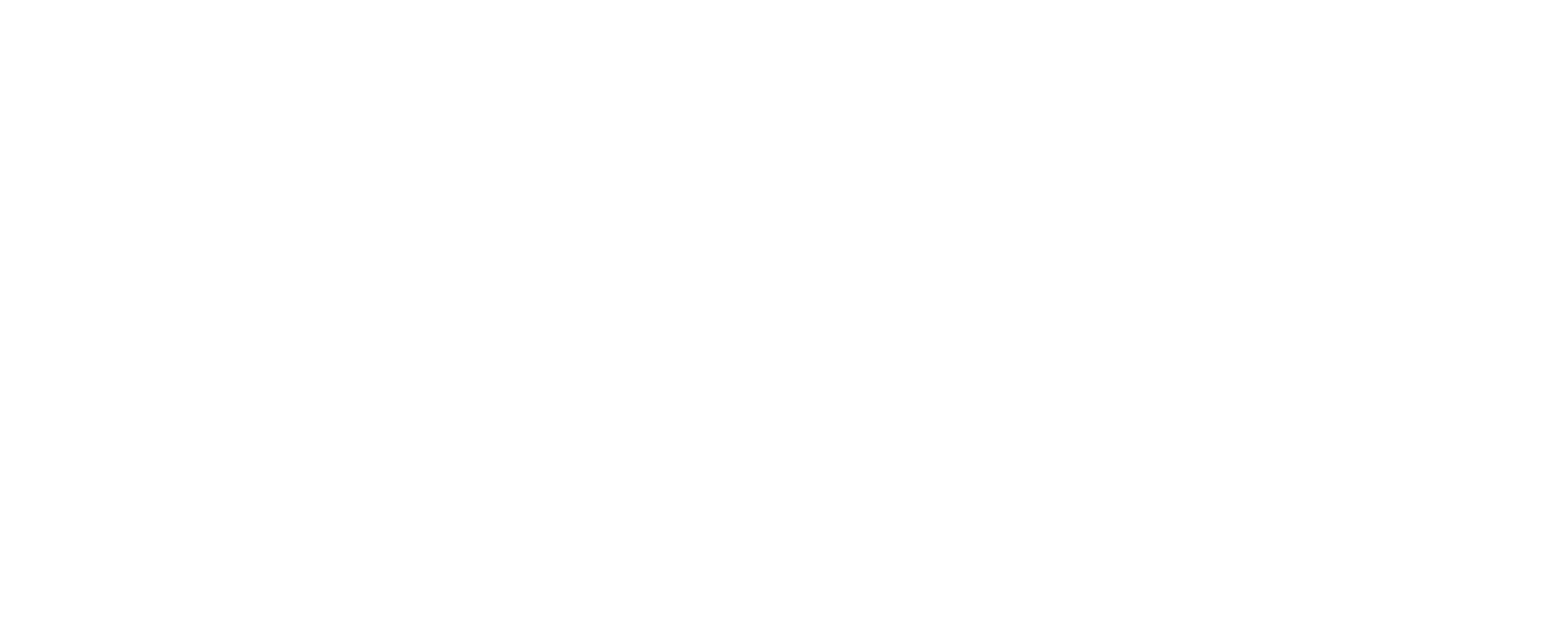 Icon list item