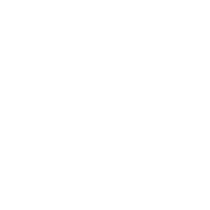 Expert presenters.